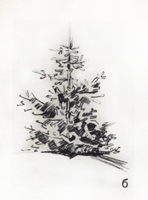 Рисунок 1. Ель б) Зарисовка. Карандаш. Наброски ели.