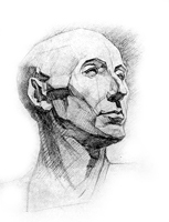 4. 4-я стадия рисунка гипсовой головы 4. 4-я стадия рисунка гипсовой головы
