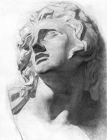 2. Гипсовая голова в ракурсе. Учебный рисунок